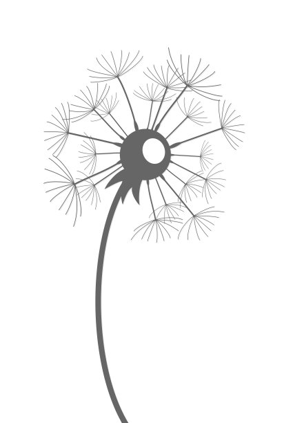 田野的蒲公英素描。图片下载
