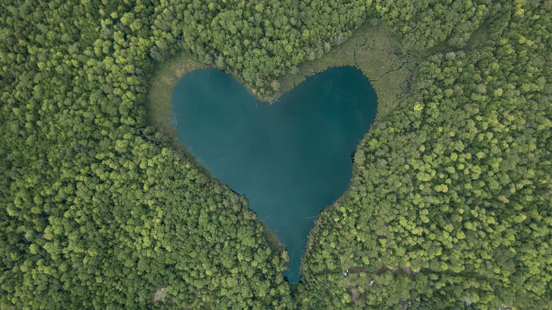 森林中心形湖的俯视图图片下载