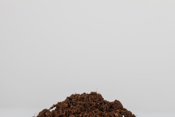 桌子上的一堆土的特写图片下载