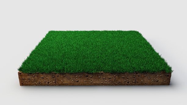 三维地质剖面图，白色背景上孤立的绿色草地图片下载