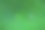 莲叶上的水滴在脉络图案上的特写图片下载