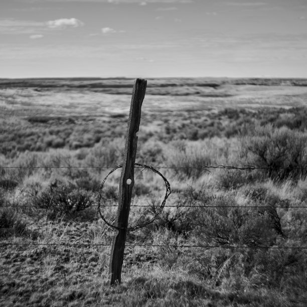 黑白照片的围栏与铁丝网和木柱在田野图片下载