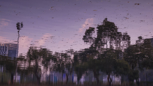 树的倒影是紫色的图片下载