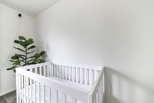 现代房间里的婴儿床，角落里有一株植物图片下载