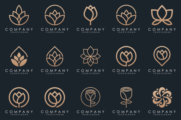 抽象优雅的花玫瑰标志图标集。图片下载