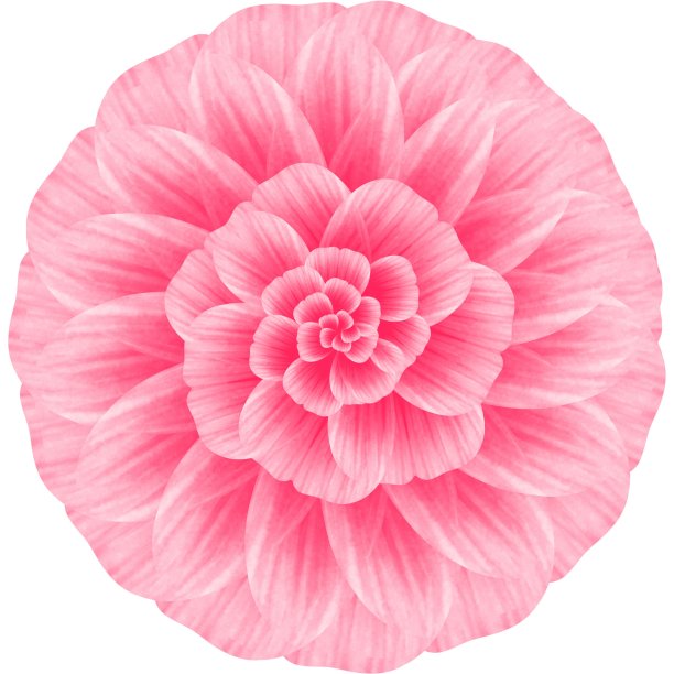 花多色，花顶视图，水彩花。图片下载