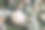 银质圣诞小玩意挂在圣诞树上的特写照片。图片下载