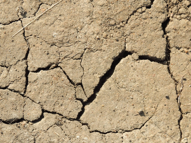 印度旱地特写，农业或池塘区域有裂缝背景图片下载