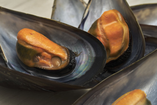 青口在他们的汁里图片下载