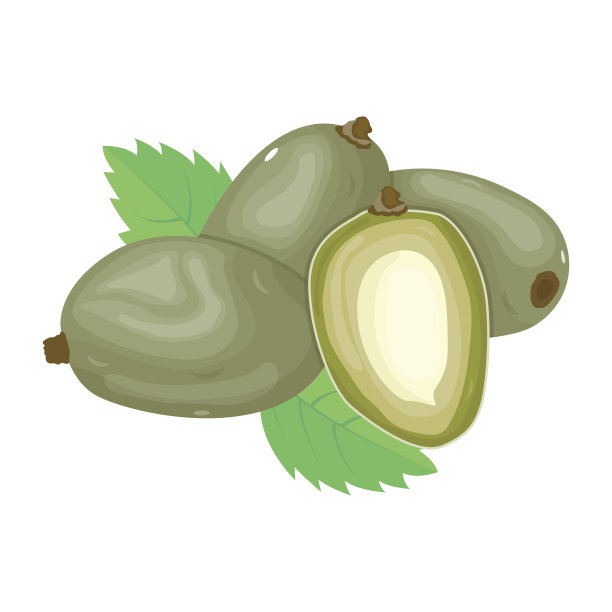 看看这个神奇的坚果等距图标吧图片下载