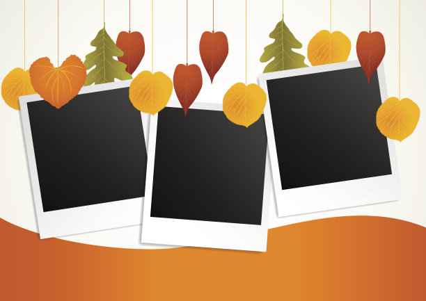 挂叶装饰相框，颜色自然图片下载