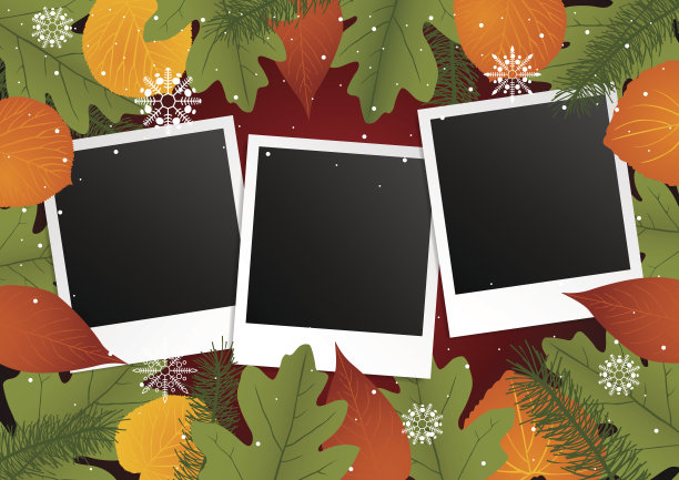 圣诞主题用树叶装饰的相框图片下载