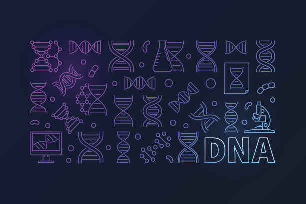 矢量DNA彩色横横幅或线性插图图片下载