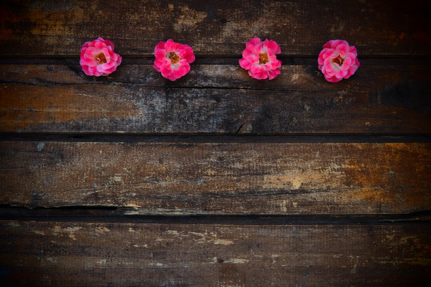 木色背景上喷着粉红色毛巾花的花蕾。四朵美丽的玫瑰横放在桌上。副本的空间。为文本腾出空间。卡片，表面布局图片下载