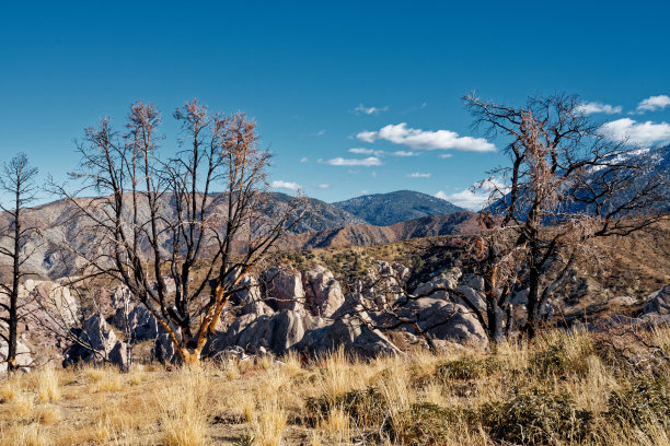 在南加州崎岖的荒野中徒步旅行图片下载