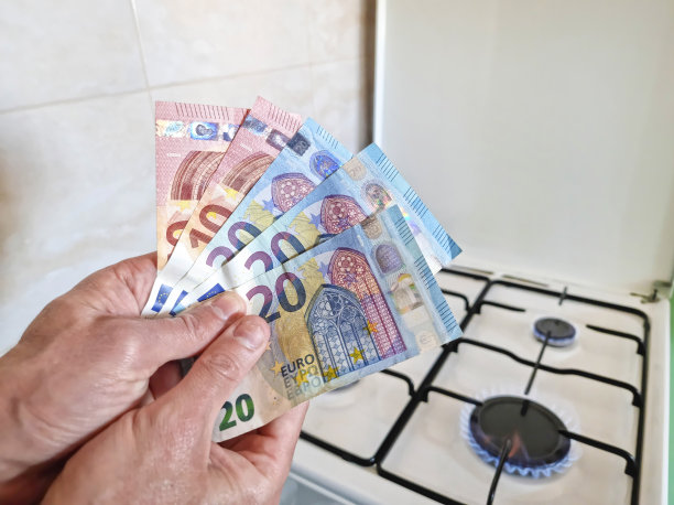 能源效率的概念与煤气灶和欧元货币，天然气的成本更贵。有选择性的重点。图片下载