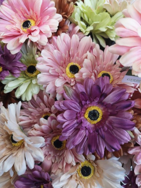 塑料假花装饰-图片下载