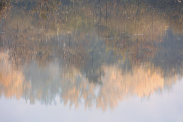 秋天的倒影。图片下载