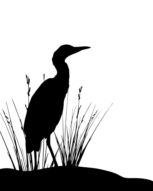 苍鹭的剪影，苍鹭的矢量，鸟的剪影。图片下载