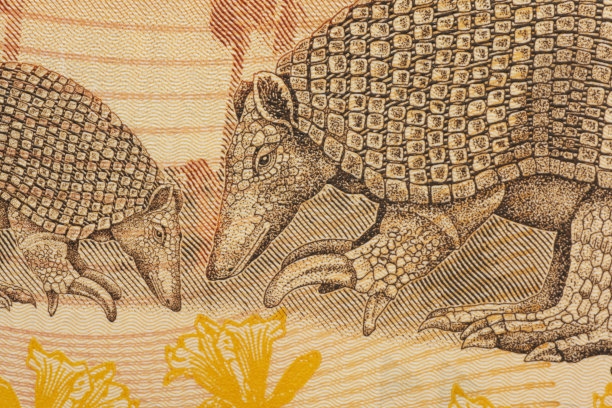 委内瑞拉的5玻利瓦尔纸币的细节。图片下载