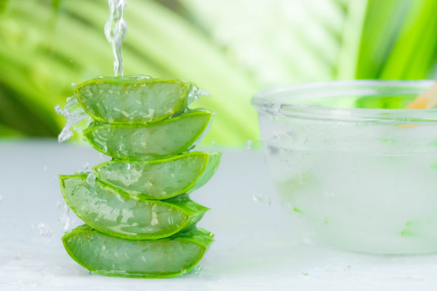 新鲜的芦荟汁在一个玻璃碗和切片天然有机芦荟在自然背景。医学与美容概念。图片下载