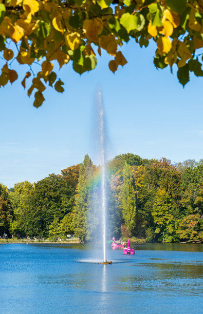 秋天，科隆的Stadtwald图片下载