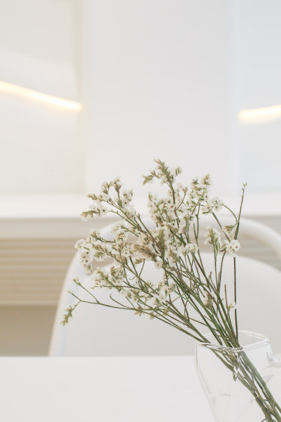 白色的花在玻璃花瓶在白色的桌子背景。家庭室内花卉装饰。图片下载