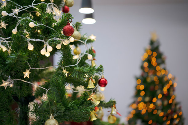 静物圣诞节。图片下载