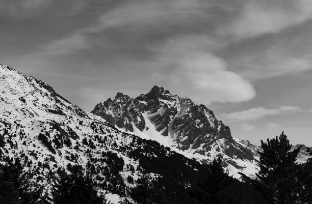 雪山山峰和松林的风景以灰度拍摄图片下载