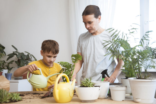 利用空闲时间做自己喜欢的爱好。生活的概念。花卉栽培。爱好休闲活动概念。妈妈和孩子在家里移植室内花图片下载