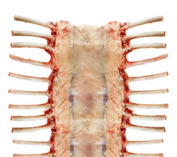 生排骨图片下载