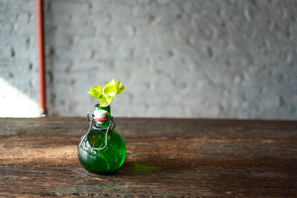 多汁植物装在玻璃瓶里，放在木桌上。图片下载