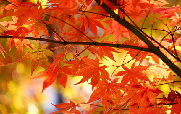 美丽的首尔照片图片下载