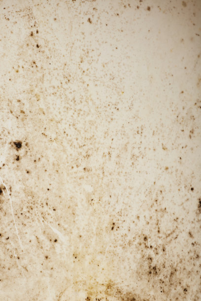 白色抽水马桶上又脏又脏图片下载