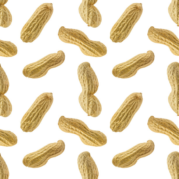花生的无缝模式孤立在白色背景图片下载