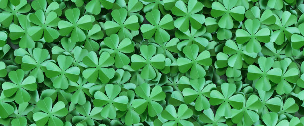 四叶草背景俯视图图片下载