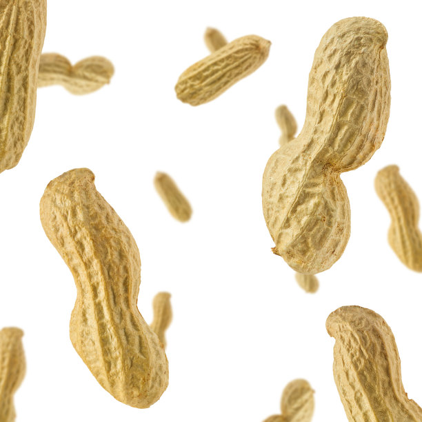 花生的无缝模式孤立在白色背景图片下载