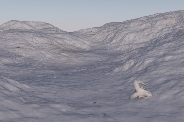 在晴朗的天空下，在雪景中动物头部骨骼的3D渲染图片下载
