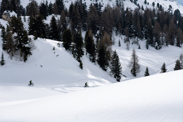 装备齐全的骑车人在风景优美的山上骑自行车;覆盖着雪的树木繁茂的地形图片下载