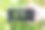 一个女人拿着手机在田野里拍美丽的雏菊花的特写镜头图片下载