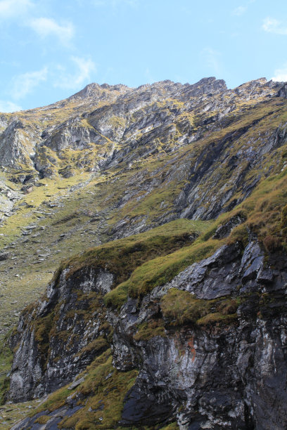 布满青苔的岩石山坡的垂直照片图片下载