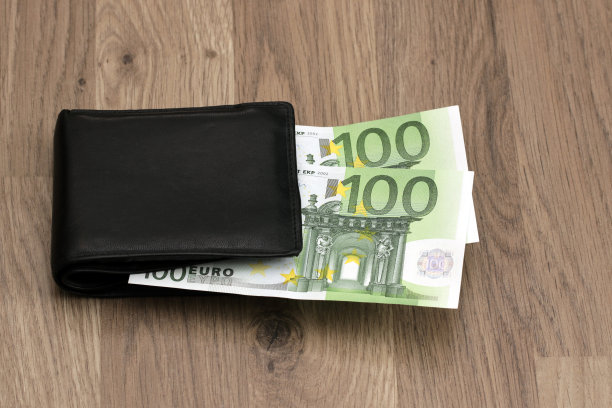 钱包里有200欧元。两张面值100欧元的纸币。图片下载