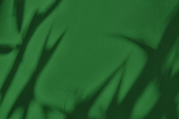 树叶的影子在深绿色的混凝土墙纹理背景图片下载