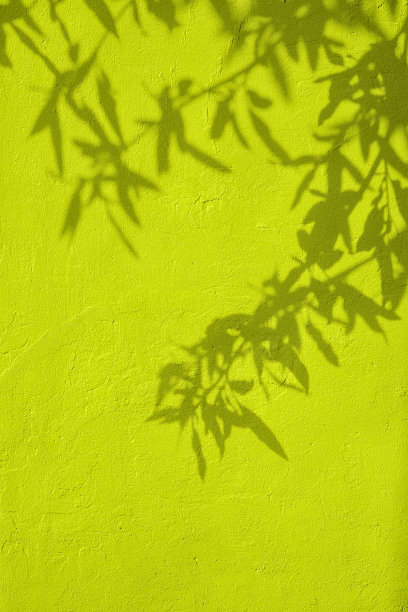 树叶的影子在黄绿色的混凝土墙纹理背景图片下载