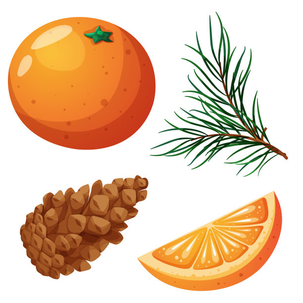 圣诞套装，冷杉枝，圆锥体，橙色，橘子和片透明的背景图片下载
