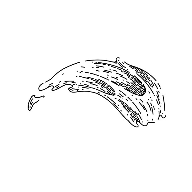 芥末菜手绘矢量草图图片下载