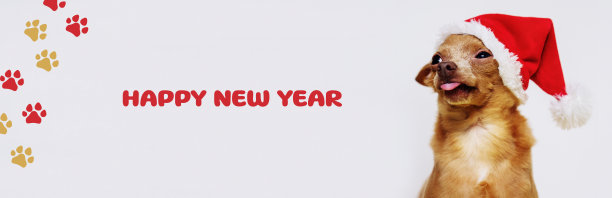 小狗戴着圣诞帽，伸出舌头，写着“圣诞快乐”。图片下载