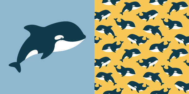 可爱的矢量收集虎鲸。无缝模式和动物插画图片下载