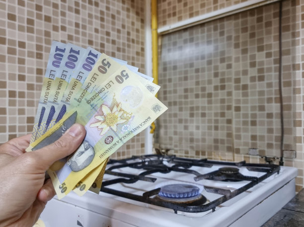 能源效率的概念与煤气灶和LEI，罗马尼亚的钱天然气的成本在罗马尼亚更贵。有选择性的重点。图片下载