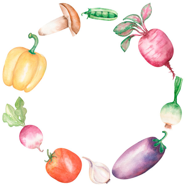 水彩蔬菜框剪纸，厨房健康食品边界插图，厨房烹饪花环剪纸，花园植物，标志设计图片下载